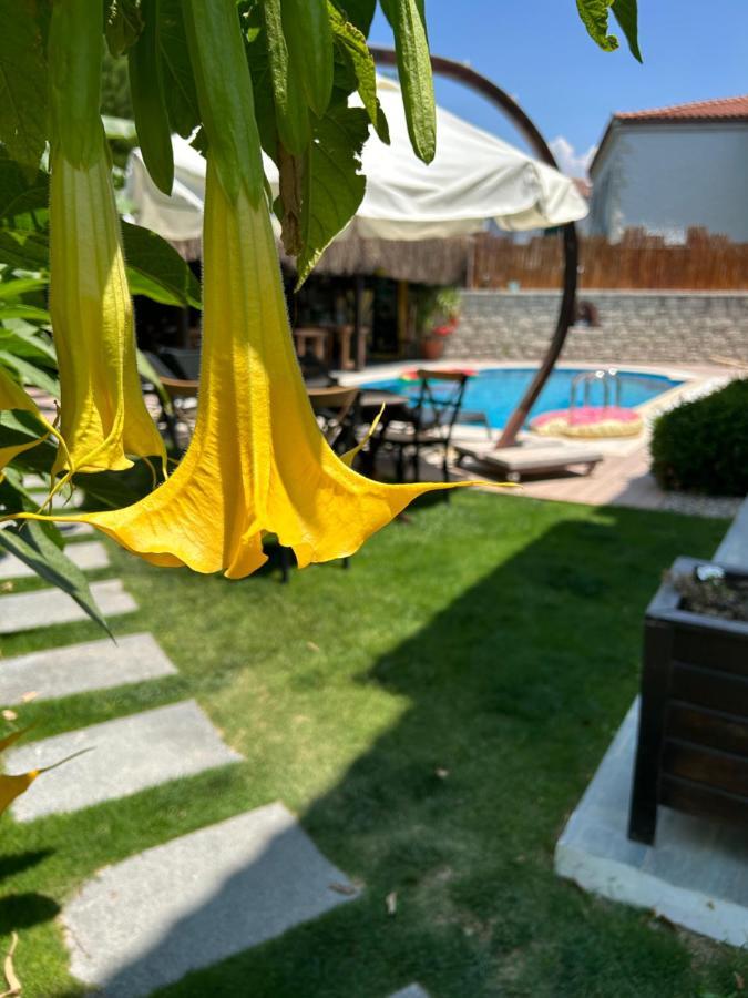 Pupa Alaçatı Butik Otel Cesme Exterior foto